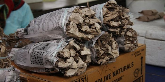 Fiji kava exporter calls on government for price control