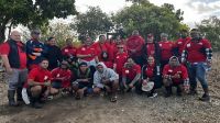 Tonga’s youths leads mangrove planting initiative