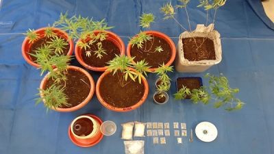 Police arrested 18 people during Christmas and New Year holiday period
