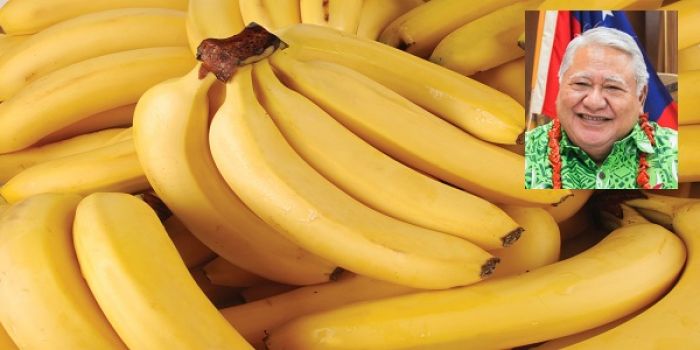 Country&#039;s banana exports as &quot;nothing short of miraculous&quot; says Samoa&#039;s PM