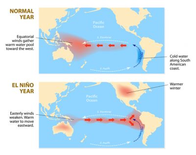 El Niño Has Arrived In The Kingdom