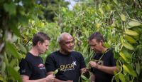 Sam Himstedt of Queen, Sione Lolohea President of VGA and Ian Jones of VGA inspecting vanilla beans in a vanilla plantation in Vava&#039;u