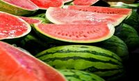 Tonga will soon resume exporting watermelon to American Samoa