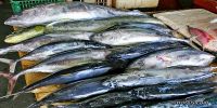 Discounted fish to promote healthier lifestyles