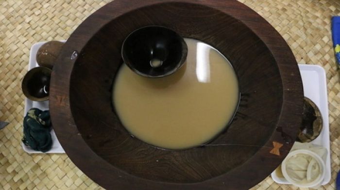 Pasifika critical of proposed changes to kava regulation