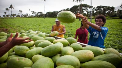 Loto mamahi lahi e kau tō meleni he Pule&#039;anga