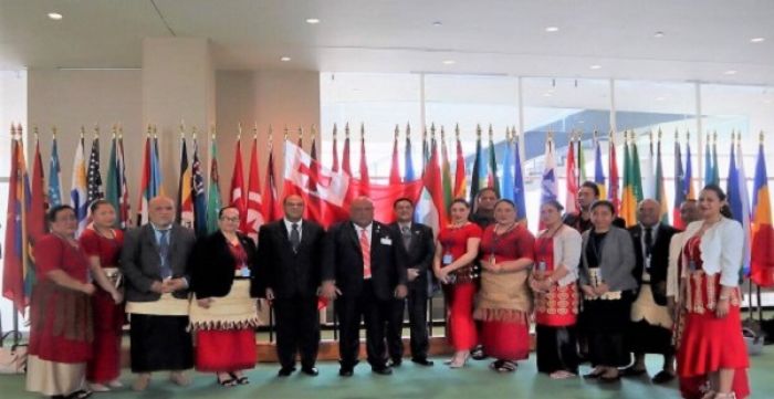 The Head of Delegation and the Delegation of the Kingdom of Tonga to the 2019 United Nations High-Level Political Forum (HLPF)