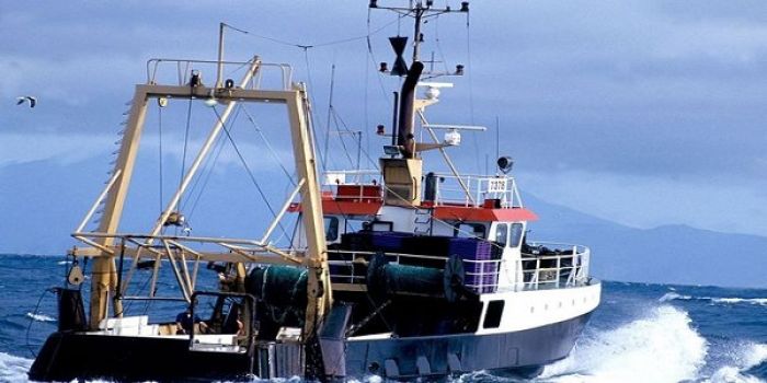 NZ to provide models on fisheries management