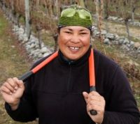   Tongan RSE worker Atu Ala has worked her way up through the ranks to become a vineyard supervisor at Provine.